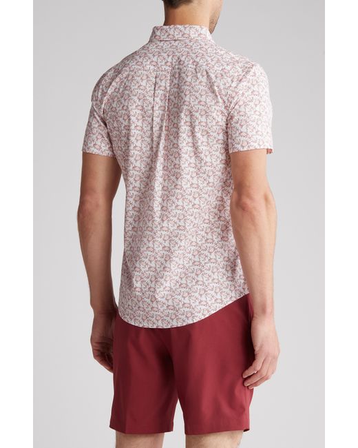 14th & Union Red Crab Print Stretch Poplin Short Sleeve Button-down Shirt for men