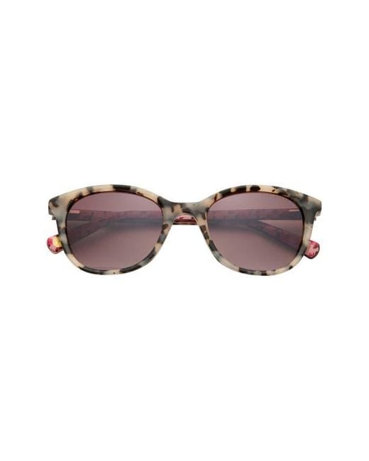 Ted Baker Multicolor 51Mm Gradient Modified Round Sunglasses