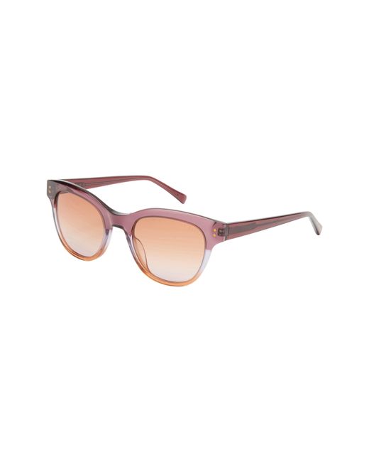 Ted Baker Pink 52mm Cat Eye Sunglasses