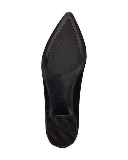 Calvin Klein Blue Lenott Pointed Toe Pump