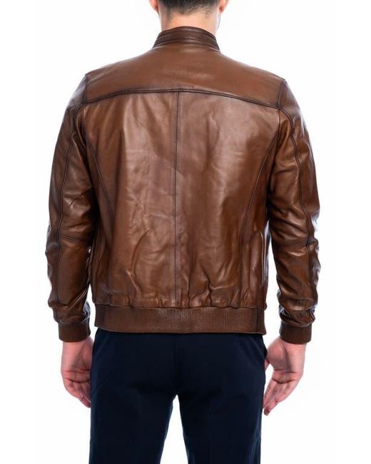 VELLAPAIS Brown Larue Leather Jacket for men