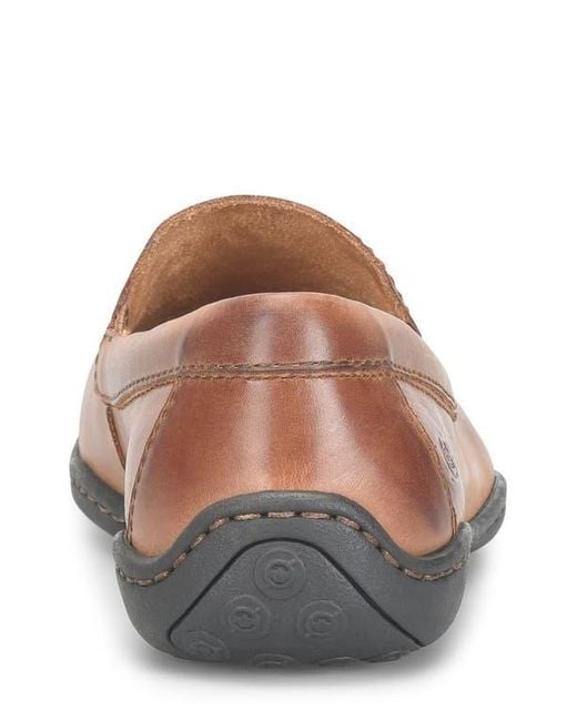 Børn Brown Scotty Loafer for men