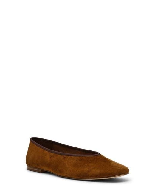 Steve Madden Brown Pipa Ballet Flat