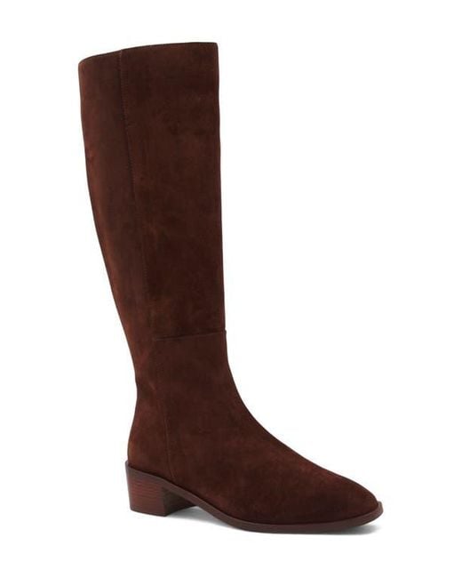 Aquatalia Brown Ravel Waterproof Knee High Boot