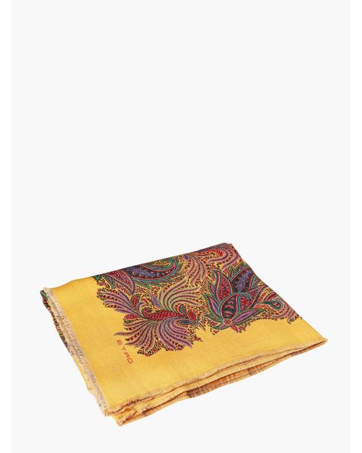 Etro Home Brown Small Blanket