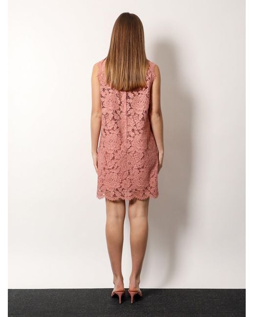 Dolce & Gabbana A Line Dg Floral Lace Dress in Pink | Lyst Dolce & Gabbana A Line Dg Floral Lace Dress in Pink | Lyst