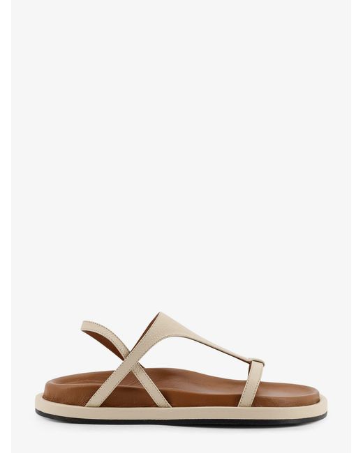 Atp Atelier Multicolor Sandals Pelle