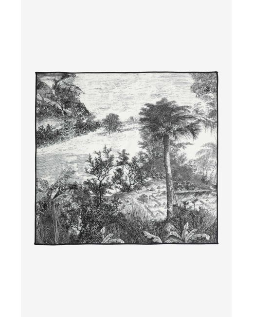 N°21 Gray Landscape-print Scarf