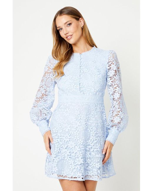 Oasis Blue Lace Button Down Mini Tea Dress
