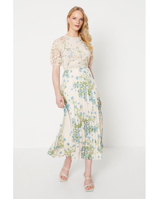 Oasis White Occasion Floral Lace Bodice Pleated Midi Dress