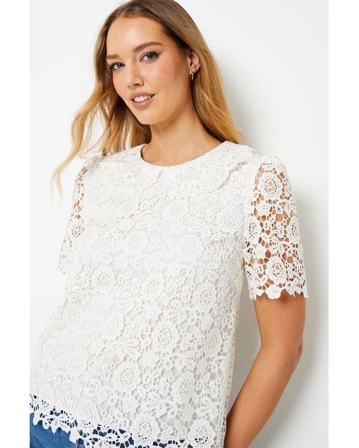 Oasis White Lace Collared Top