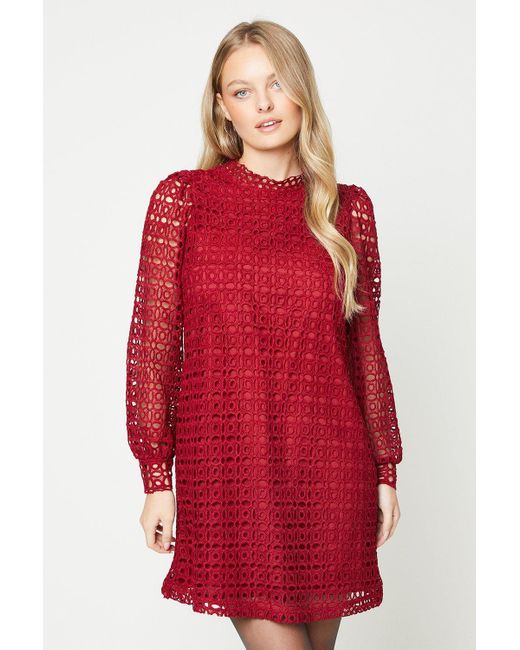 Oasis Red Lace High Neck Long Sleeve Shift Dress