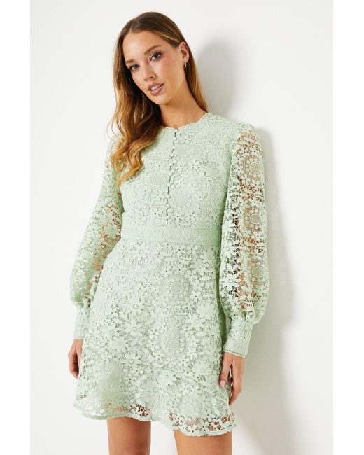 Oasis Green Lace Button Down Mini Tea Dress