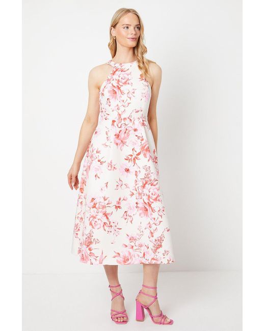 Oasis Pink Floral Ottoman Twill Halter Midi Dress