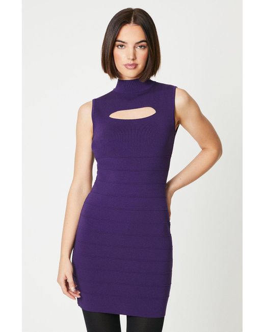 Oasis Purple Cut Out Detail Body Con Ribbed Dress