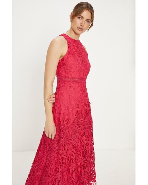Oasis Red Premium Floral Lace Halter Midaxi Dress