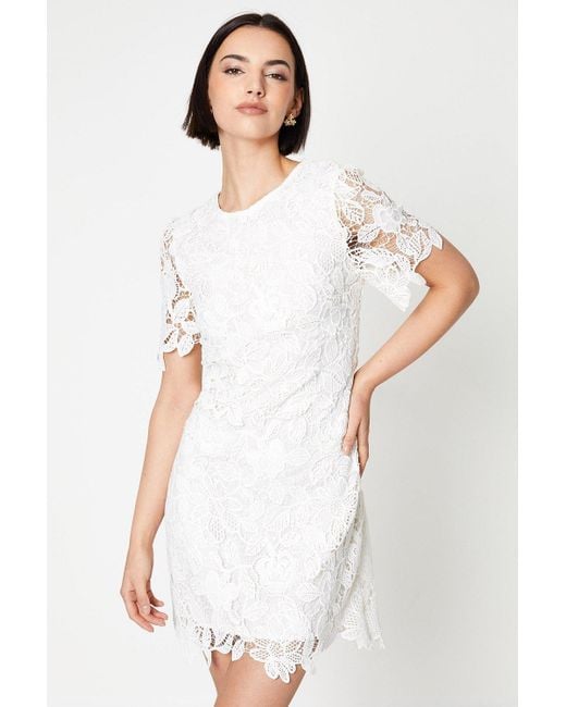 Oasis White Occasion Lace Short Sleeve Mini Dress