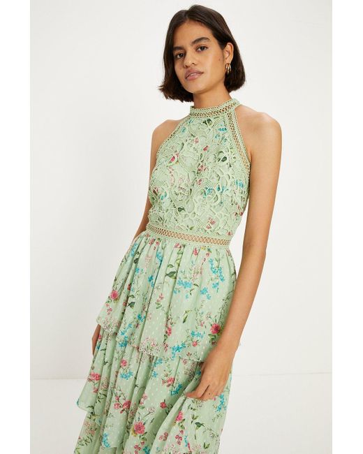 Oasis Green Soft Floral Lace Halter Neck Tiered Midi Dress