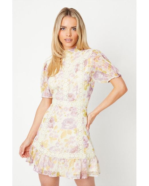 Oasis White Petite Rose Floral Dobby Chiffon Lace Trim Mini Dress