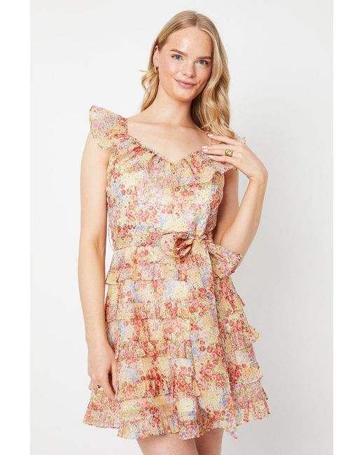 Oasis Multicolor Ditsy Floral Ruffle Organza Mini Dress