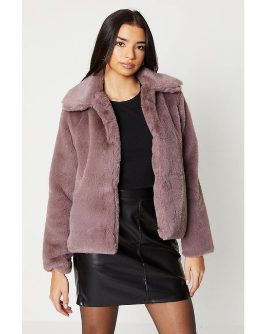 Oasis Brown Plush Faux Fur Short Collared Coat