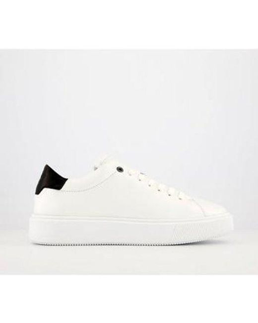 office ted baker trainers