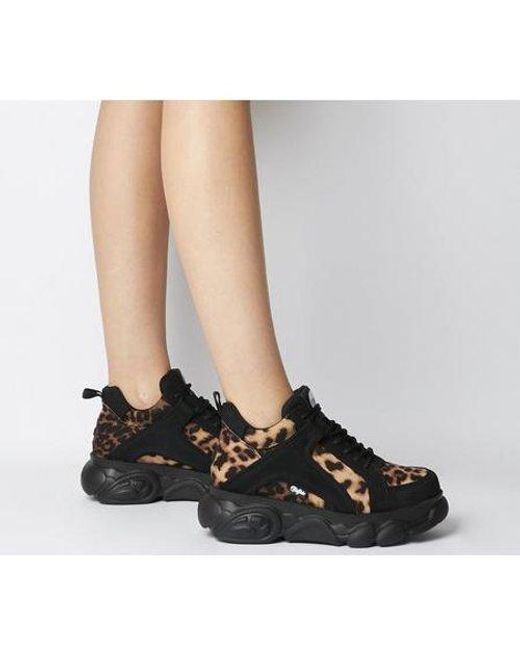 corin sneaker buffalo