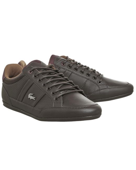 lacoste chaymon trainers