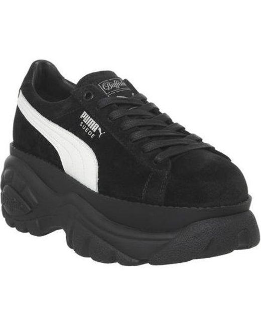 buffalo trainers office