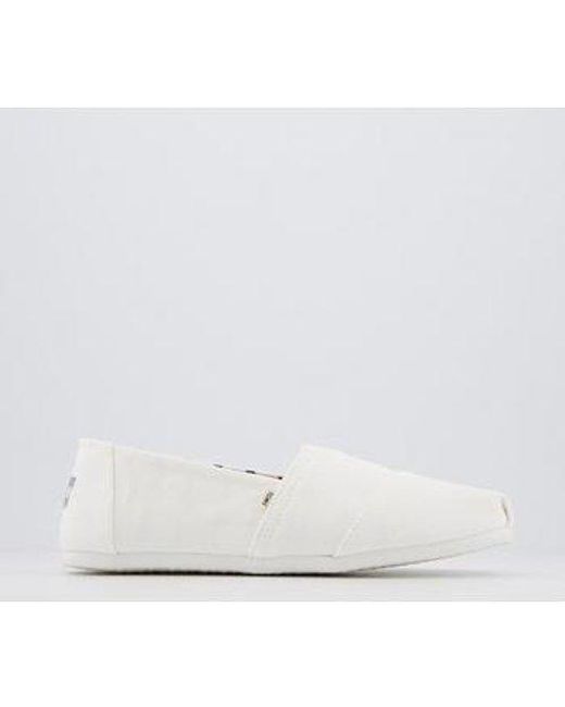toms classic canvas mens