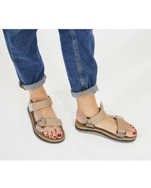 nike slides tortoise