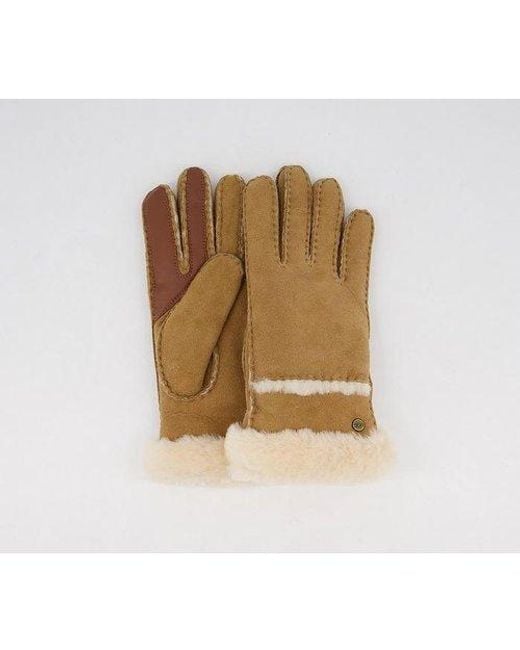 Ugg Brown Seamed Tech Gloves