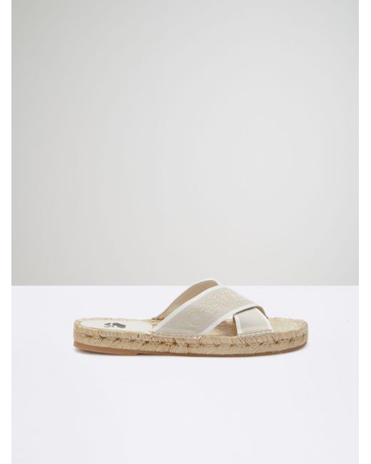 Zapatos 