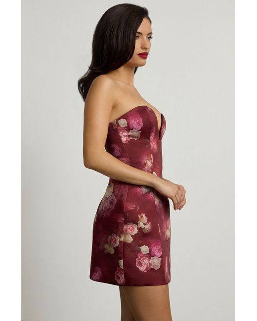 Oh Polly Multicolor Strapless Structured Tulip Mini Dress