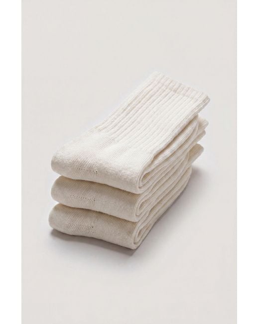 BO+TEE White Pilates 3-Pack Socks Bundle
