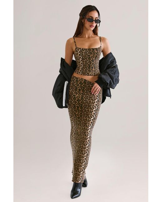 Oh Polly Multicolor Modal Scoop-Neck Tank Top