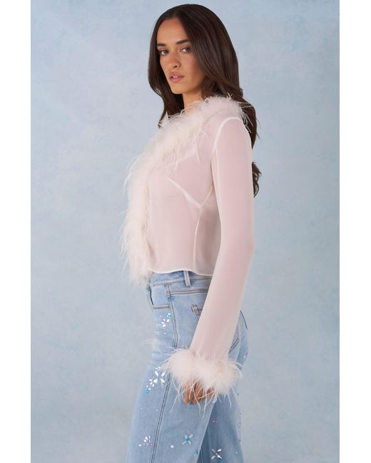 Oh Polly White Feather Trim Sheer Top