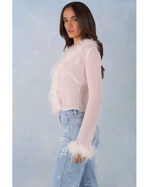 Oh Polly White Feather Trim Sheer Top