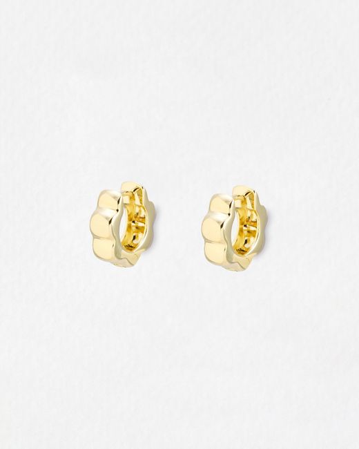 Oliver Bonas White Senna Scalloped Flower Clicker Hoop Earrings
