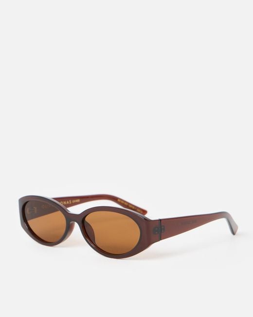 Oliver Bonas Brown Chocolate Oval Sunglasses