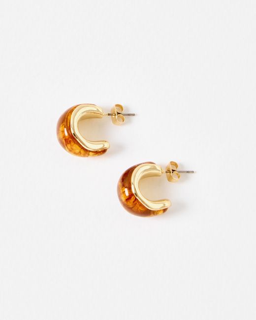 Oliver Bonas White Ariah Brown Resin & Gold Tone Hoop Earrings
