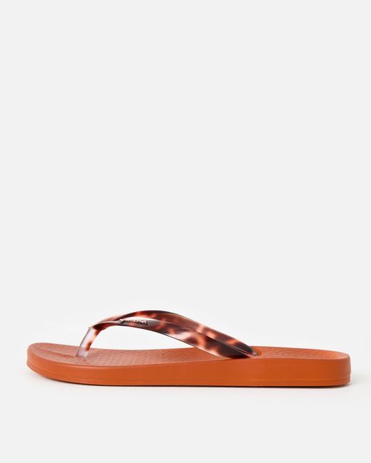 Ipanema Brown Anatomic Connect & Tort Flip Flops, Size 5