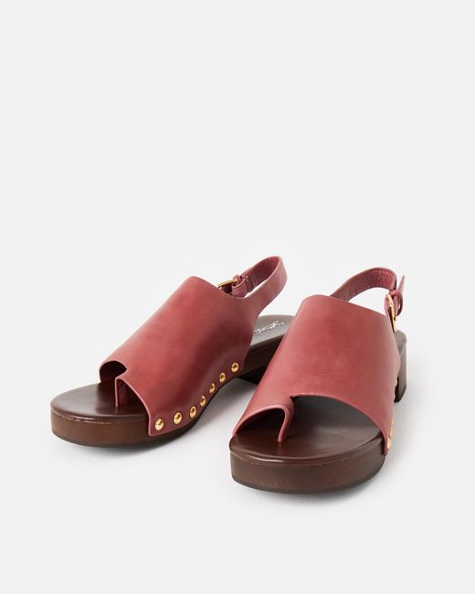 Jeffrey Campbell Multicolor Pipper Dusty Rose Heeled Clogs, Size 3