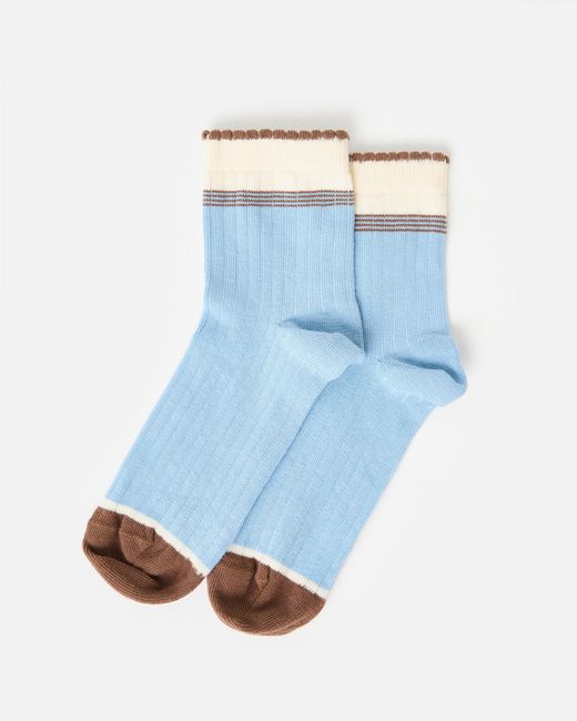 Oliver Bonas Blue Light & Brown Ribbed Ankle Socks