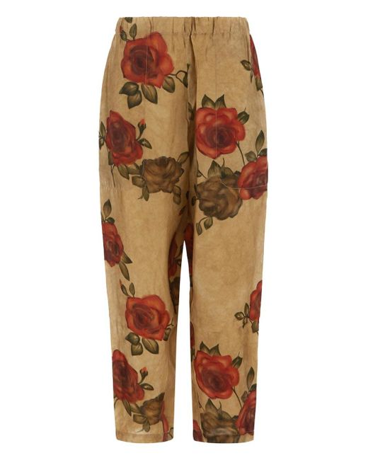 Uma Wang Roses Pants in Brown | Lyst