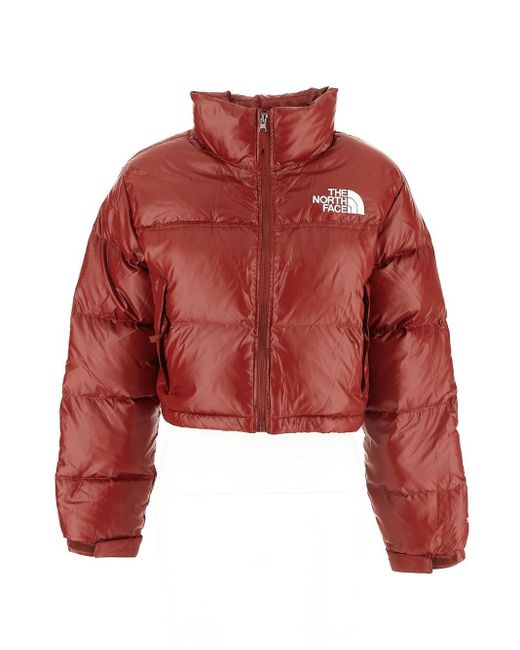Synthetic Nuptse Short Jacket 