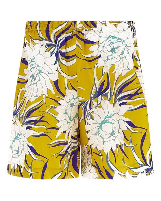 Valentino Cotton Floral Print Shorts in 