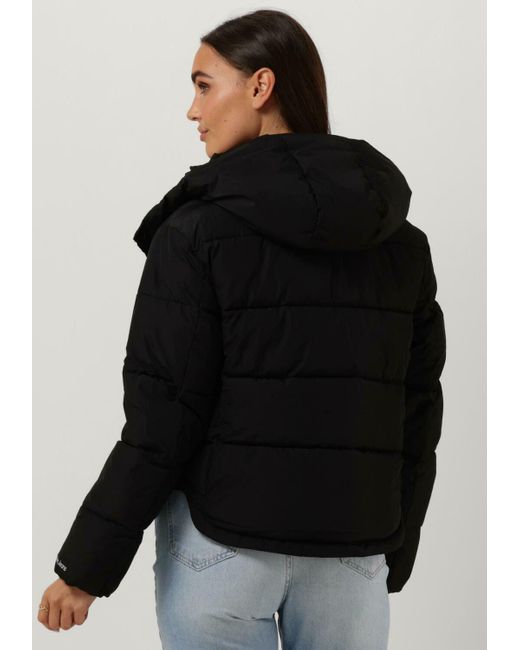 Calvin Klein Black Wattierte Jack Monologo Mw Nd Short Puffer