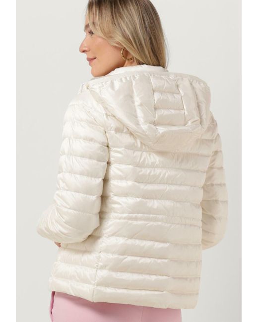 Tommy Hilfiger Natural Wattierte Jack Feminine Lw Down Jacket