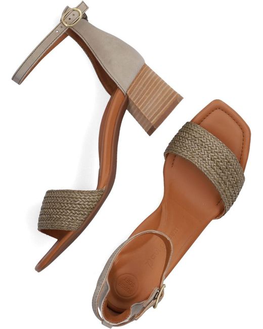 Paul Green Paul Sandalen 7788 in het Groen | Lyst BE